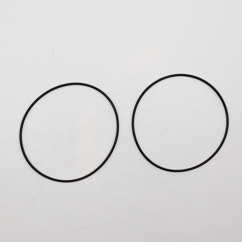 27 Backplate O-Ring PZ.02