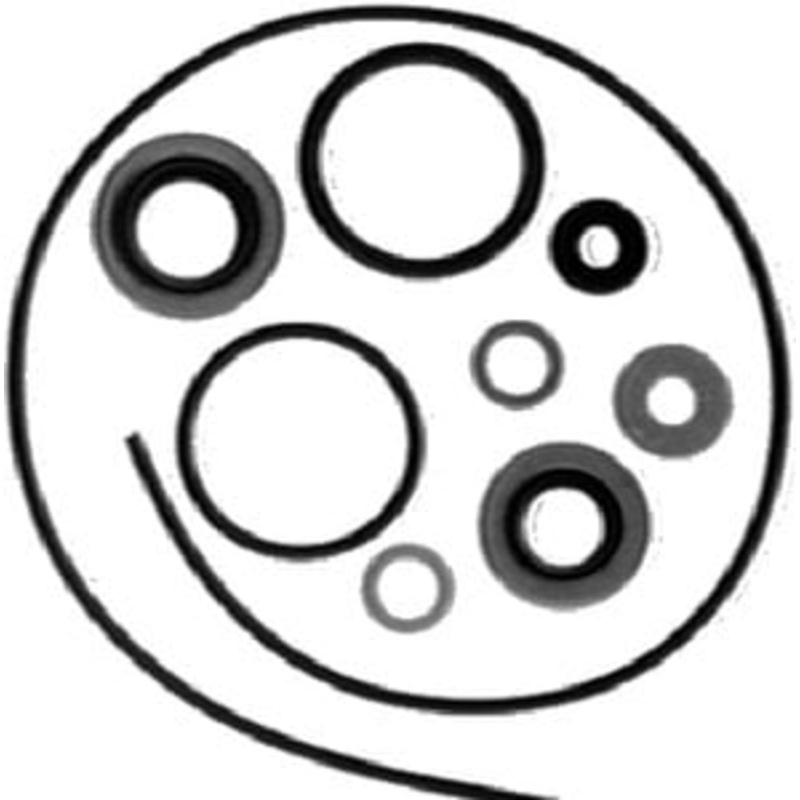 Sierra – Johnson/Evinrude Gear Hsg Seal Kit – 2684