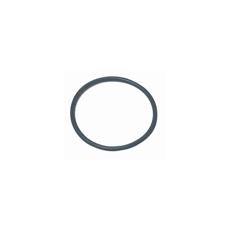 Sierra – O-Ring Mc25-38933/OMC 307853 – 7120