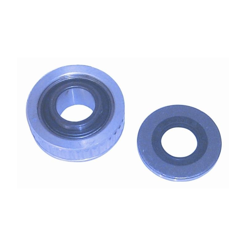 Sierra – SEAL & BEARING KIT – 2100K