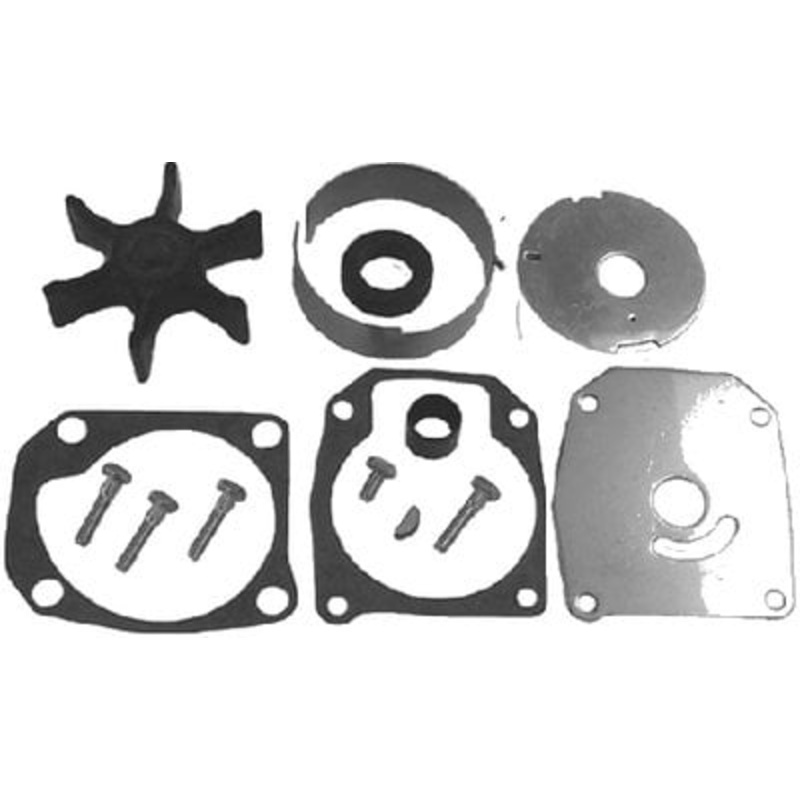 Sierra – Water Pump Kit 389143 55-1875 – 3388