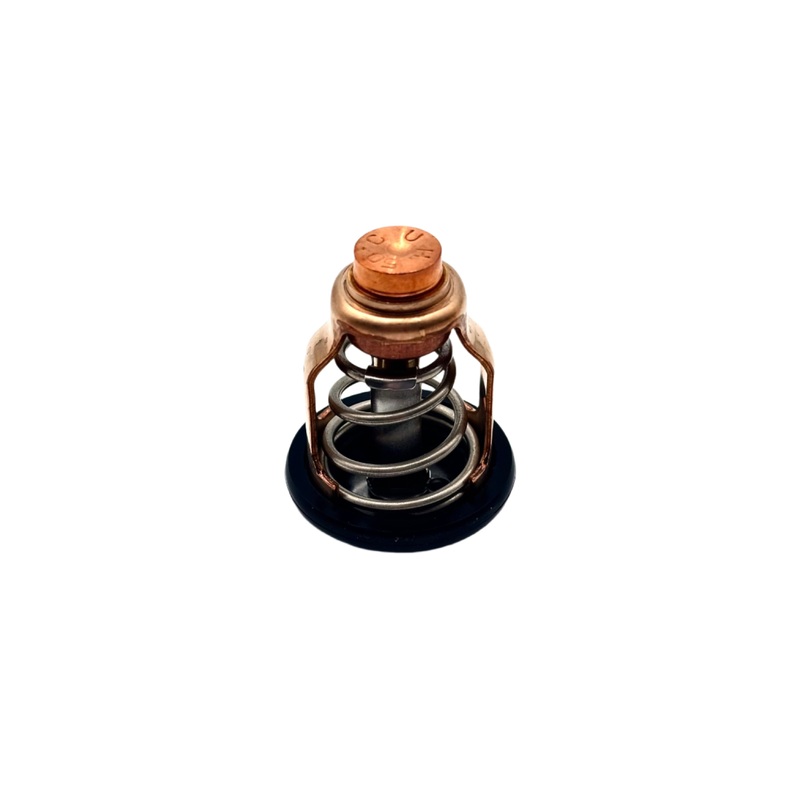 Yamaha – Thermostat – 60E-12411-01-00